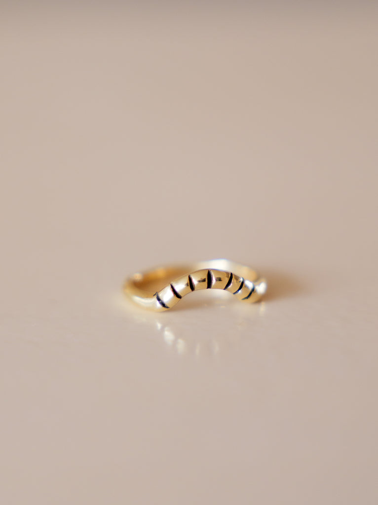 Solar Ring