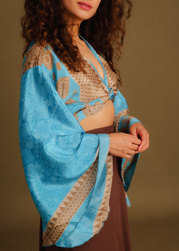Rajya Silk Top