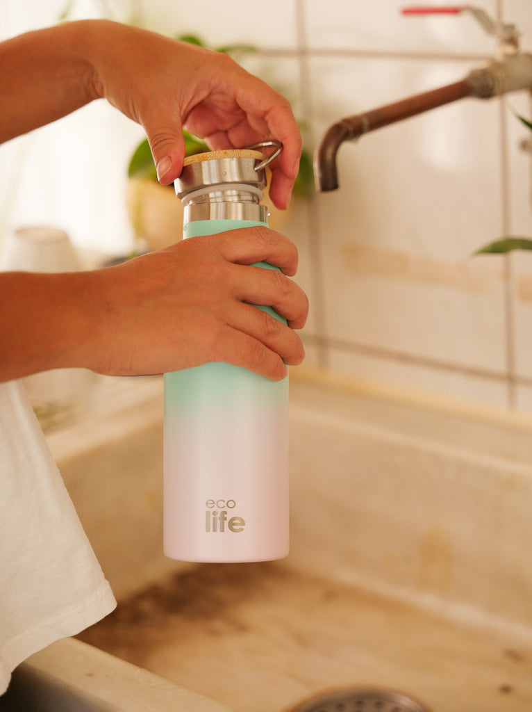 Ecolife Ice Cream Thermos