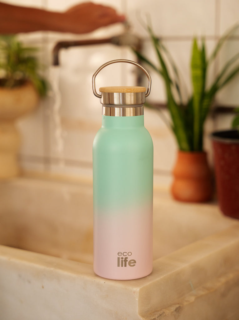 Ecolife Ice Cream Thermos