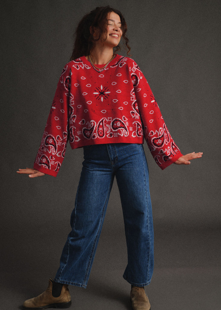 Vandanā Sweater