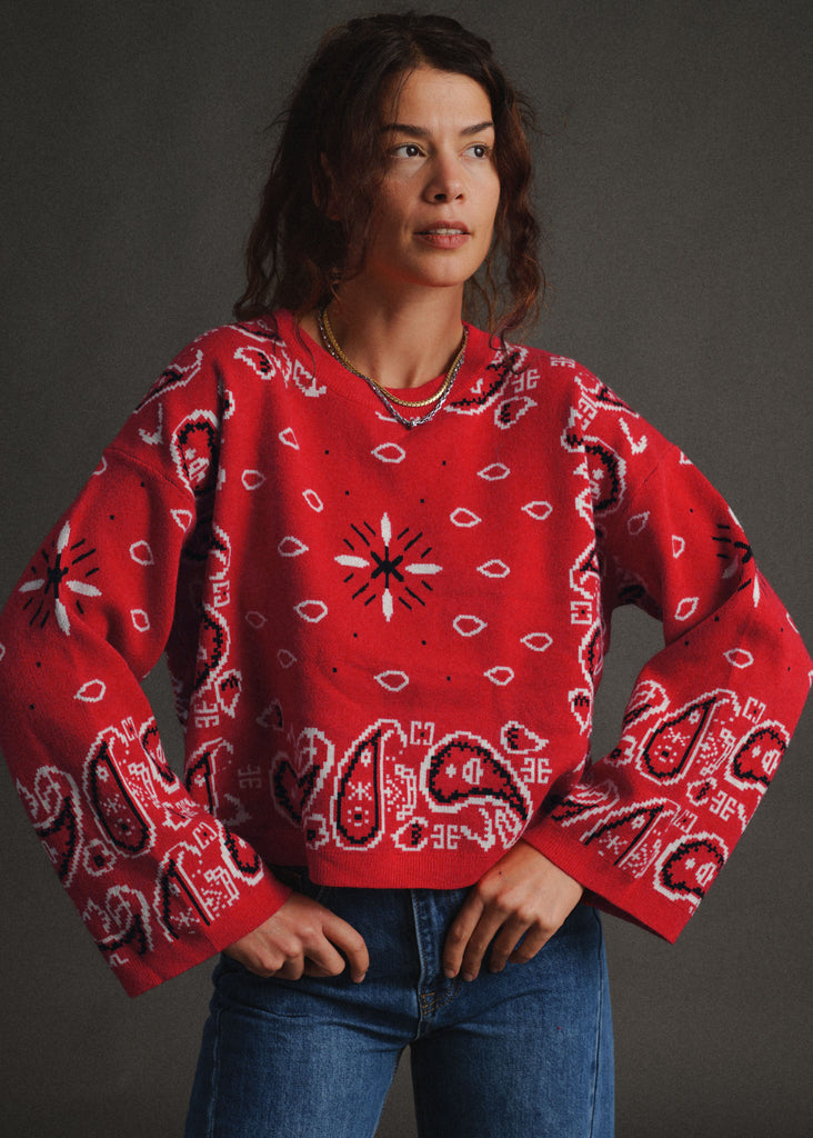 Vandanā Sweater