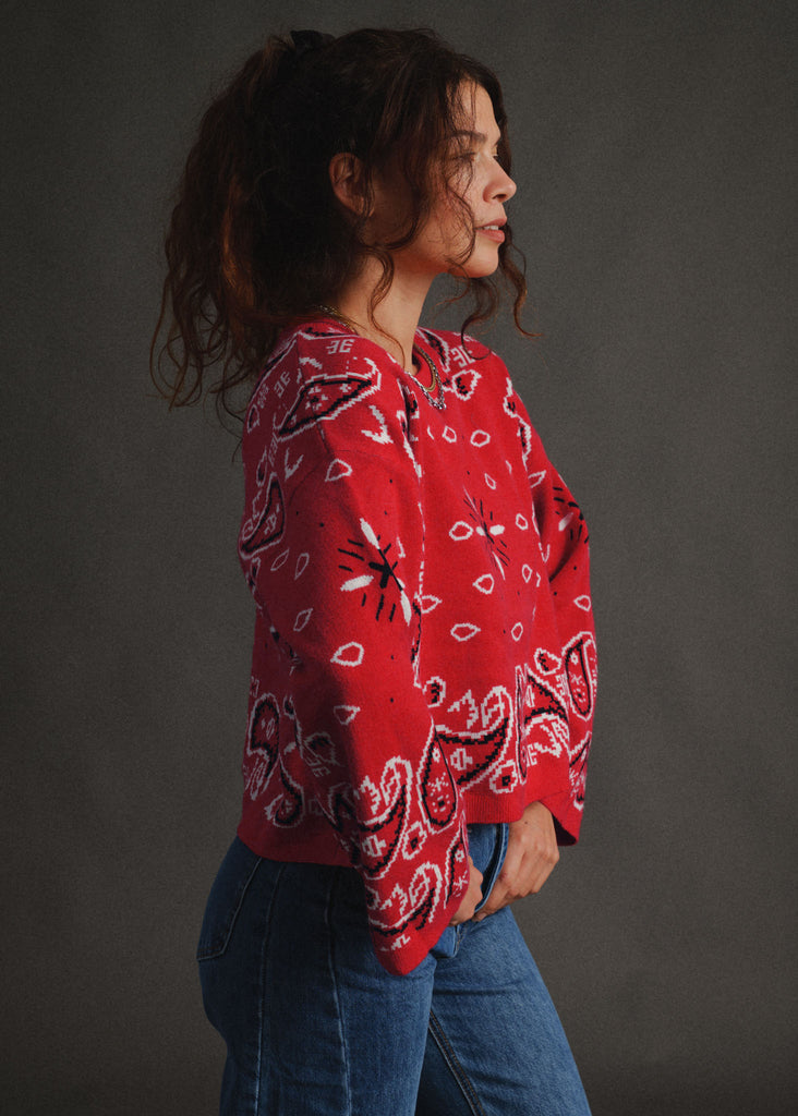 Vandanā Sweater