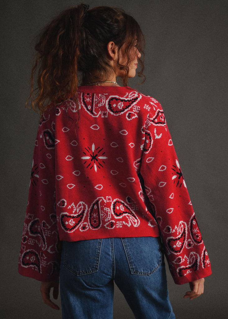 Vandanā Sweater