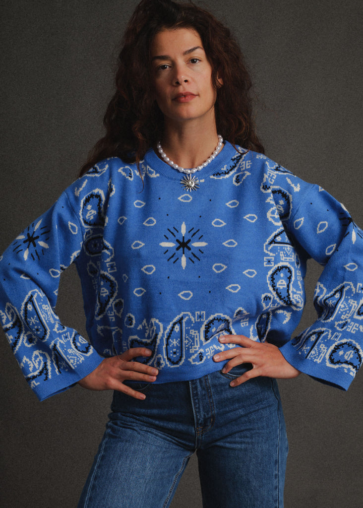 Vandanā Sweater