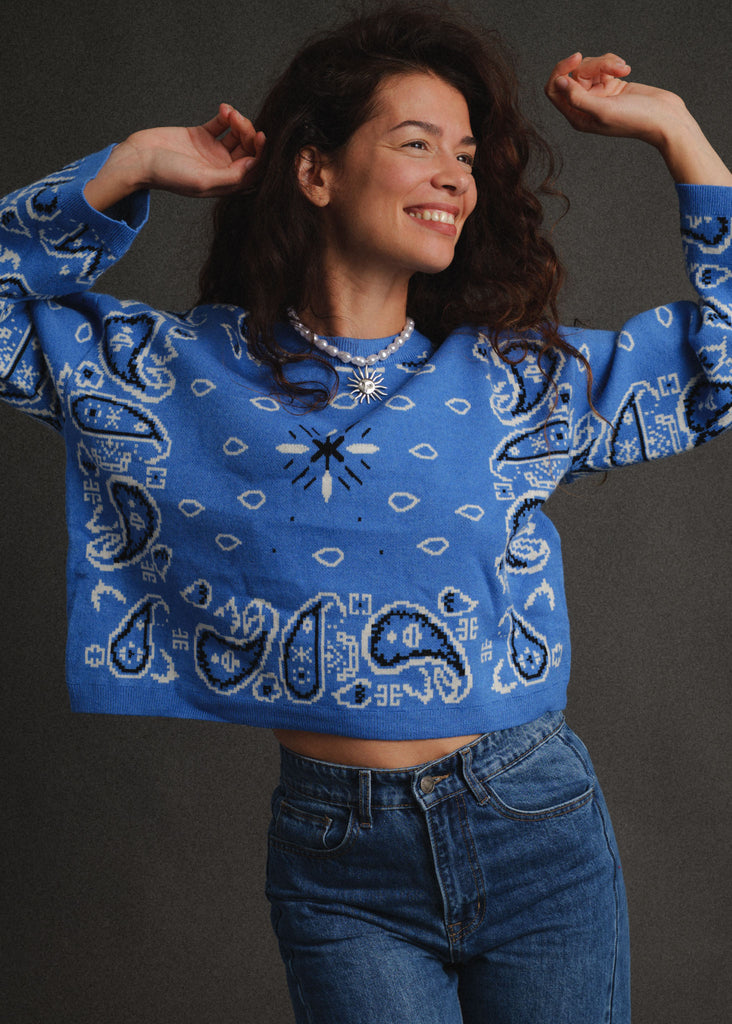 Vandanā Sweater