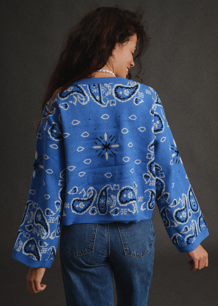 Vandanā Sweater