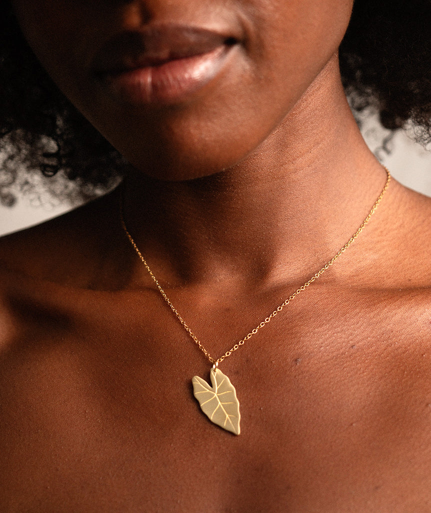 Alocasia Pendant